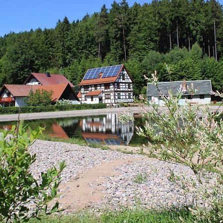Ferienwohnung Nuessleshof Fambach Extérieur photo