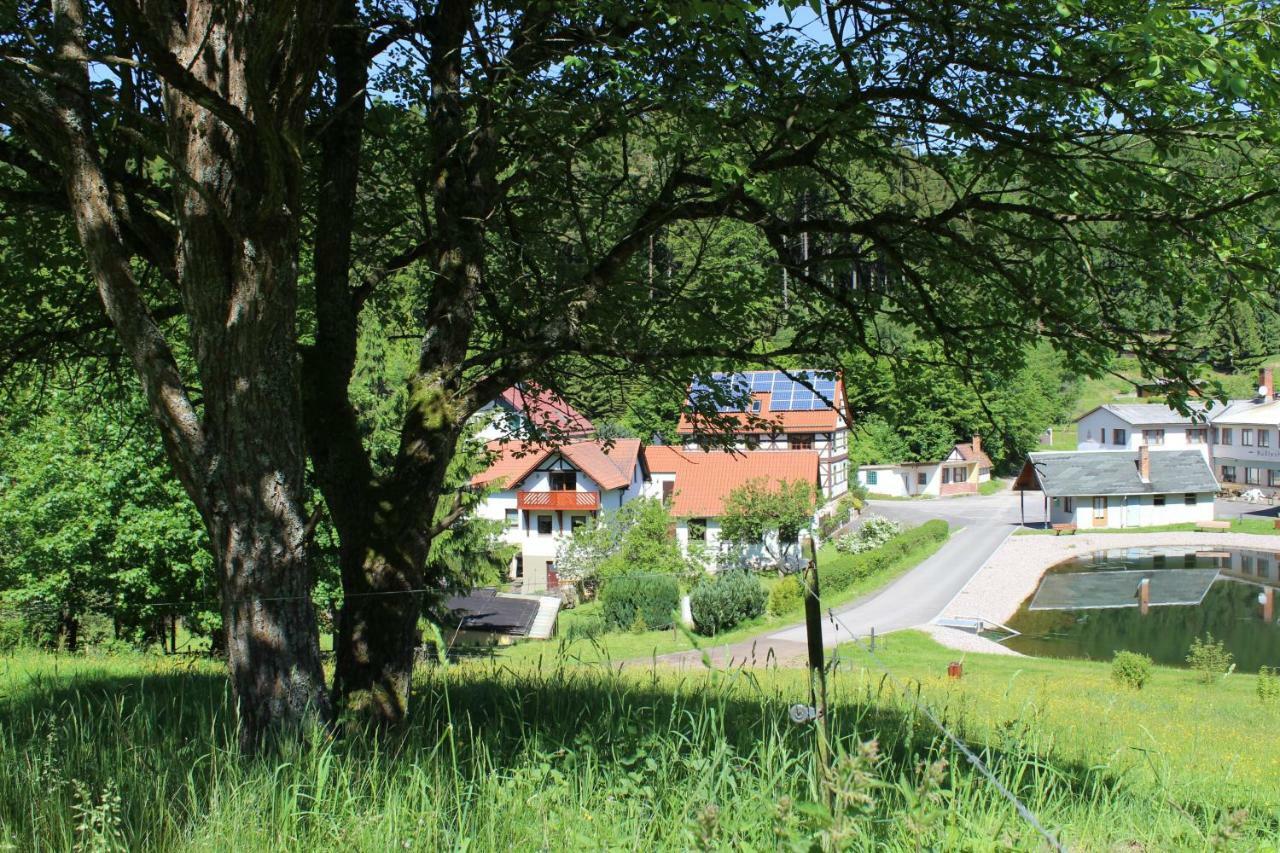 Ferienwohnung Nuessleshof Fambach Extérieur photo